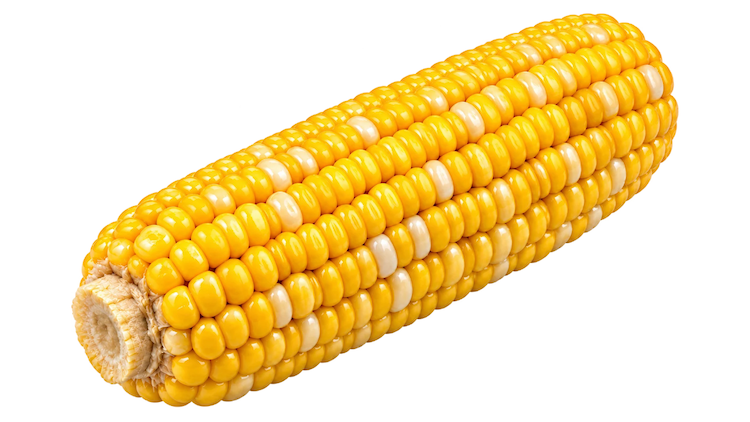 BBQ Catering Toronto Corn on The Cob