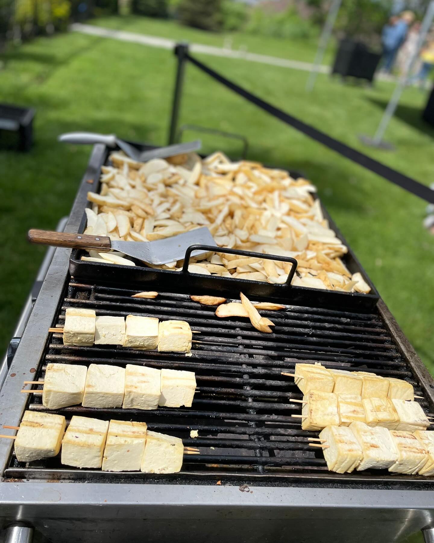 Tofu Kabobs
