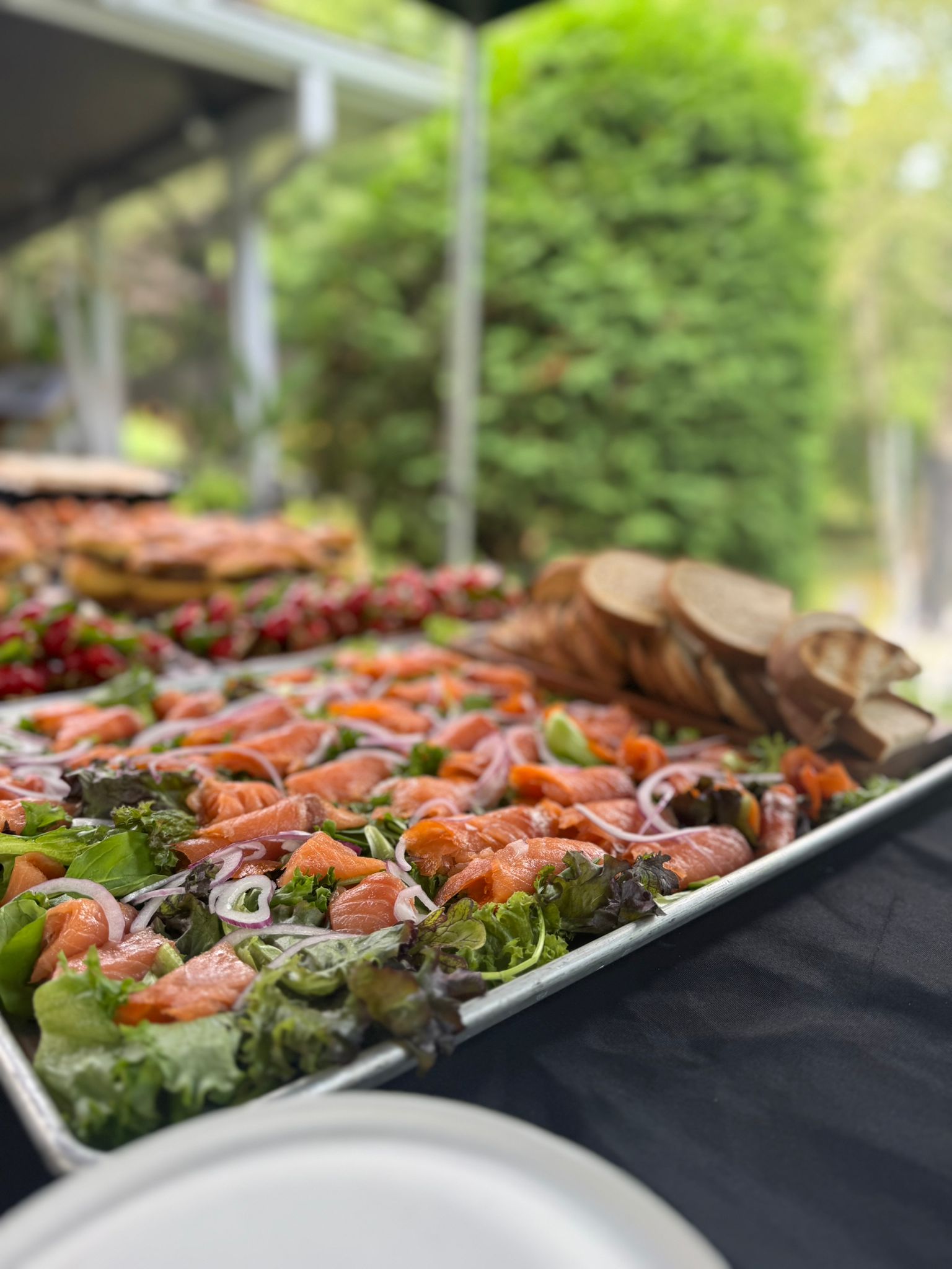 Salmon Appetizers