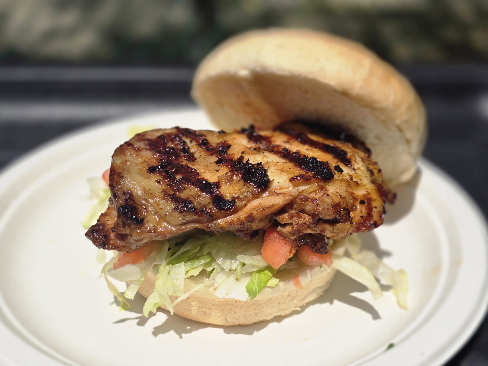 Smoked Chicken on a Bun