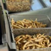 Fresh Cut Fries North York